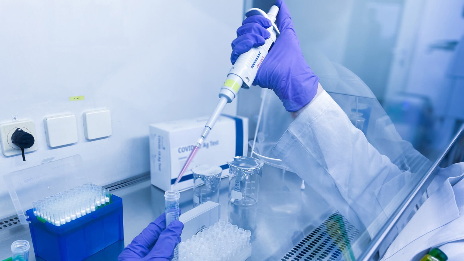 260220_CERTANIA_GBD_Website_PipetteLabBlueGloves 260220_CERTANIA_GBD_Website_PipetteLabBlueGloves