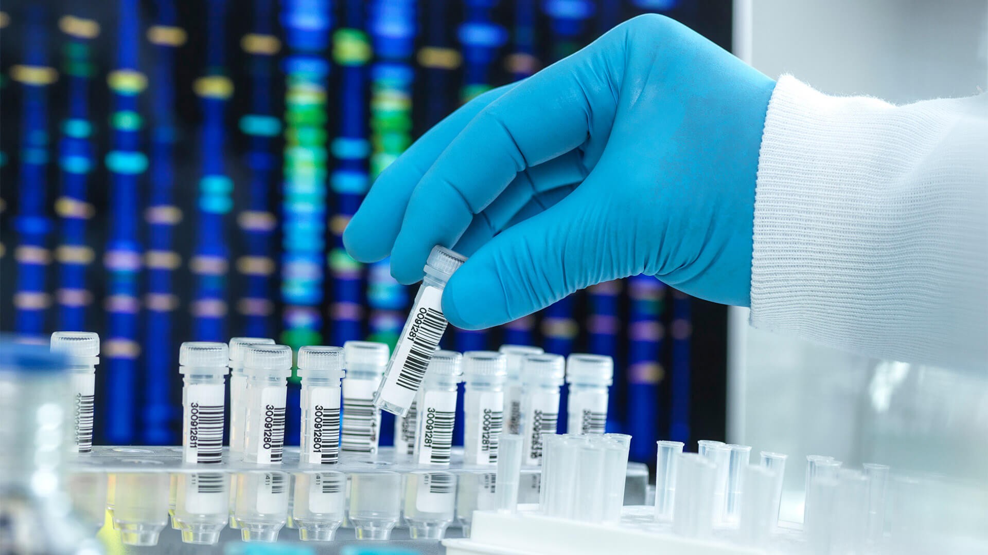 260220_CERTANIA_GBD_Website_TestingTubesBlueGlove 260220_CERTANIA_GBD_Website_TestingTubesBlueGlove